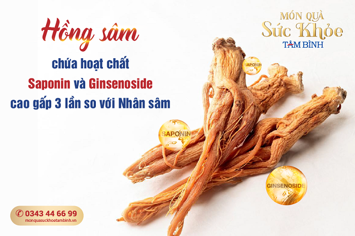 Phân biệt Hồng sâm và Nhân sâm