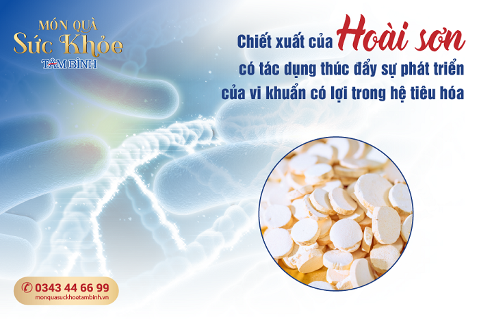 Hoài sơn tốt cho hệ tiêu hóa 