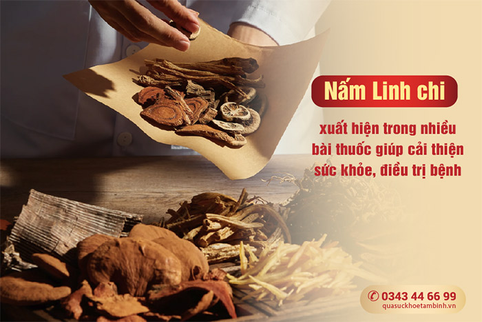 Một số bài thuốc chứa Linh chi