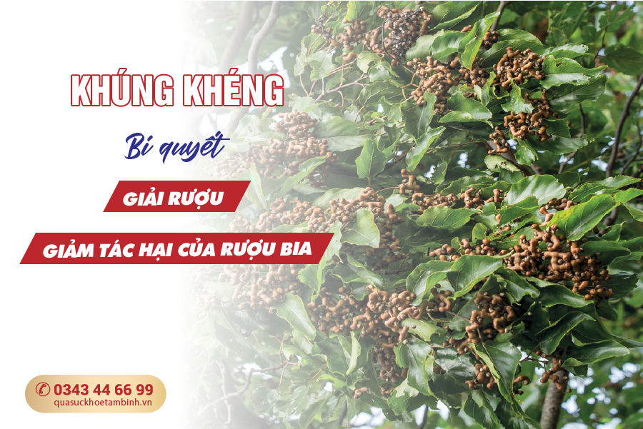 khúng khéng giúp giải rượu