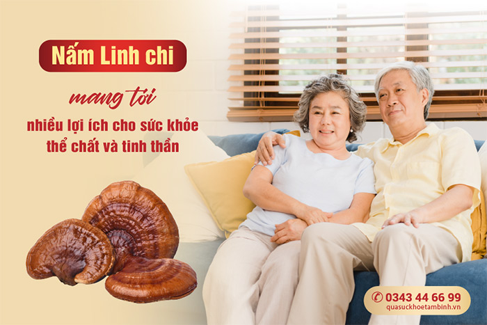 Công dụng của nấm Linh chi đối với sức khỏe