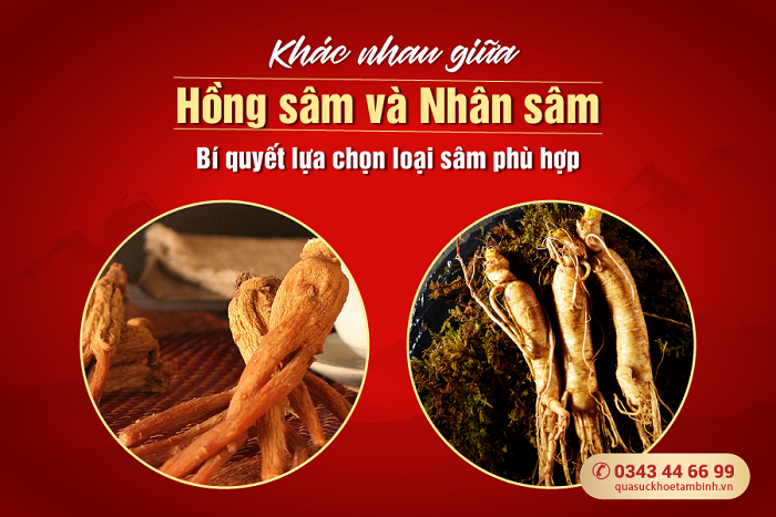 Khác nhau giữa Hồng sâm và Nhân sâm