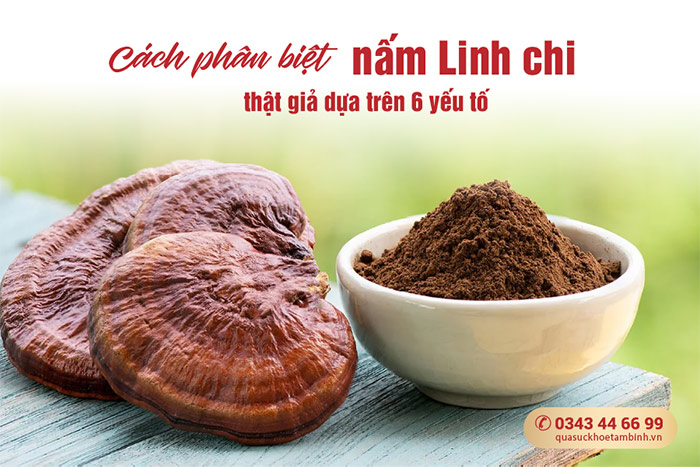 Cách phân biệt nấm Linh chi thật giả 