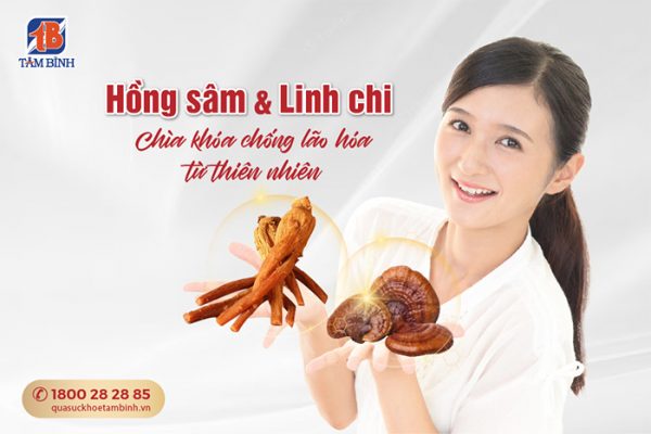 Bí quyết chống lão hóa từ Hồng sâm và Linh chi