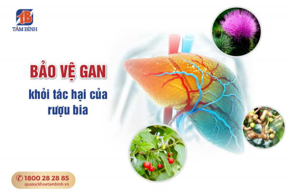 bảo vệ gan khỏi tác hại rượu bia