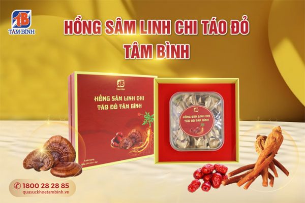 Hồng sâm Linh chi Táo đỏ Tâm Bình