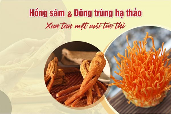 Hồng sâm và Đông trùng hạ thảo Xua tan mệt mỏi tức thì