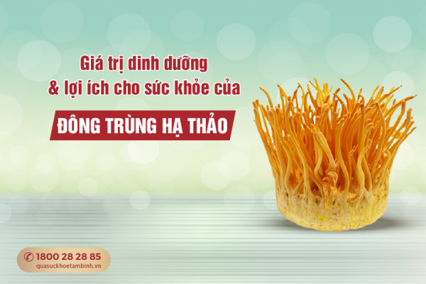 lợi ích của đông trùng hạ thảo