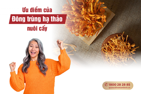 ưu điểm của đông trùng hạ thảo nuôi cấy